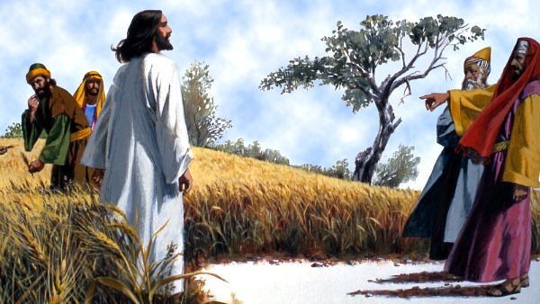 #Vangelo: Il Figlio dell’uomo è signore anche del sabato (Mc 2,23-28)