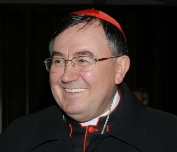 Cardinale Puljic: Per Usa e Ue i cattolici non esistono