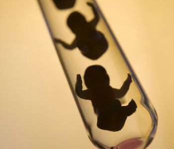 Corte di Strasburgo ferma donazione embrioni per ricerca