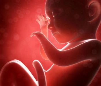 I video dell'orrore sulla vicenda del traffico di organi di bambini abortiti