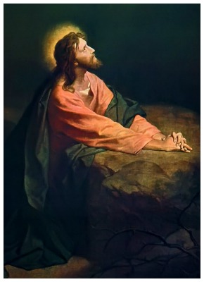 #Vangelo (13 settembre): Tu sei il Cristoâ¦ Il Figlio dellâuomo deve molto soffrire.