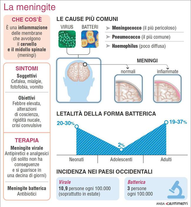 Nell'infografica realizzata da Centimetri la scheda della meningite. ANSA/CENTIMETRI