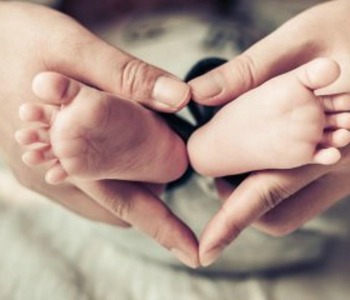 I medici cattolici: fertilità contro autodistruzione