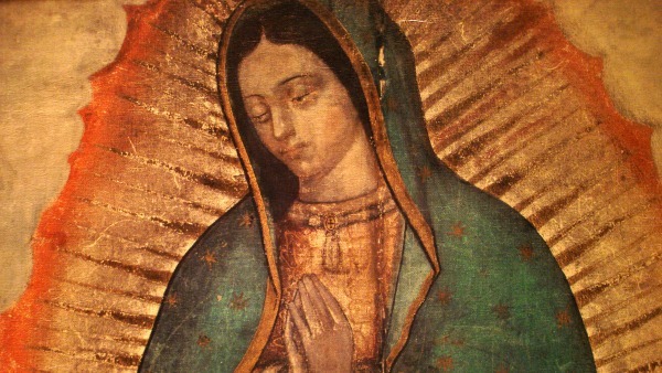 Le 13 figure negli occhi della Madonna di Guadalupe