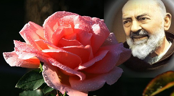 I Miracoli Avvenuti Raccontati Dai Testimoni Vicino A Padre Pio Ho Sentito Intenso Profumo Di Rosa
