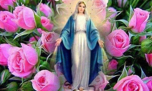 Ogni Giorno Una Lode a Maria, 11 Marzo 2022