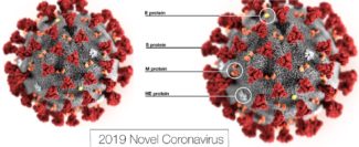 Coronavirus. Sappiamo già tutto? Le accortezze da prendere