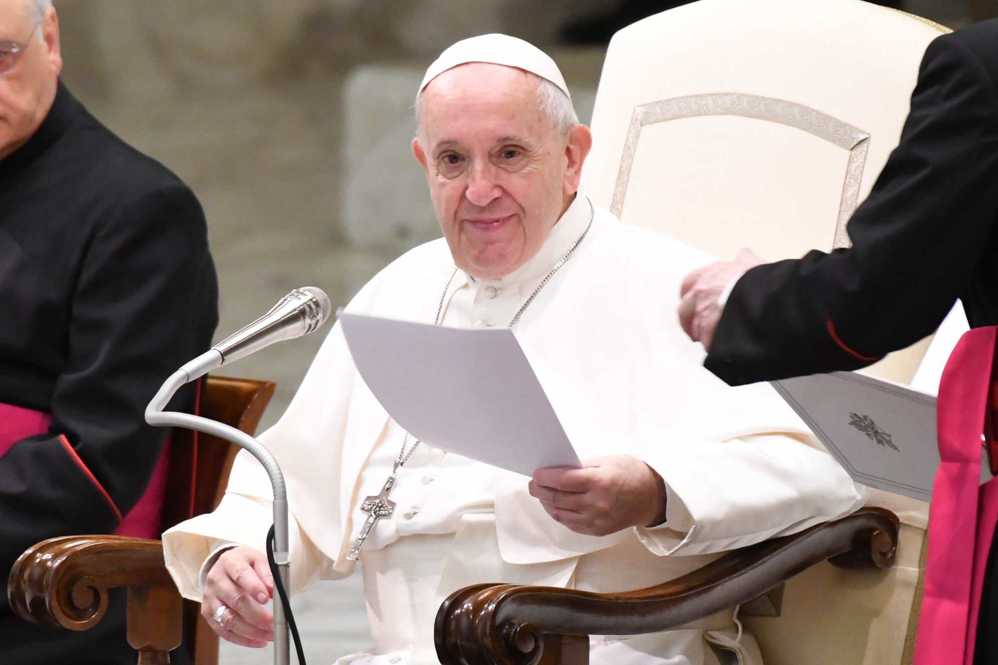 Papa Francesco in udienza 'Il mite non è un accomodante ma è il discepolo di Cristo'3