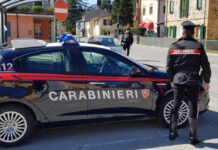 Carabinieri (lagone.it)