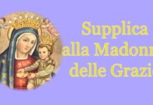 Ogni giorno una Lode a Maria, 20 agosto 2020, Madonna di San Pio X, prega per noi!