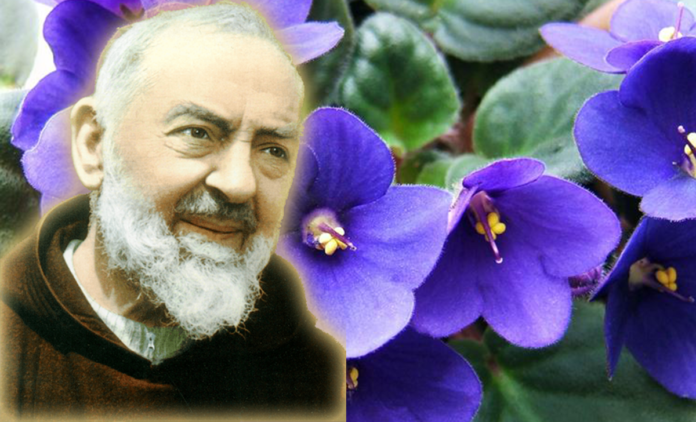 Ho Sentito Il Profumo Di Padre Pio Mentre Diventavo Sacerdote