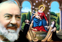 La rubrica dedicata a Padre Pio, 18 Agosto 2020