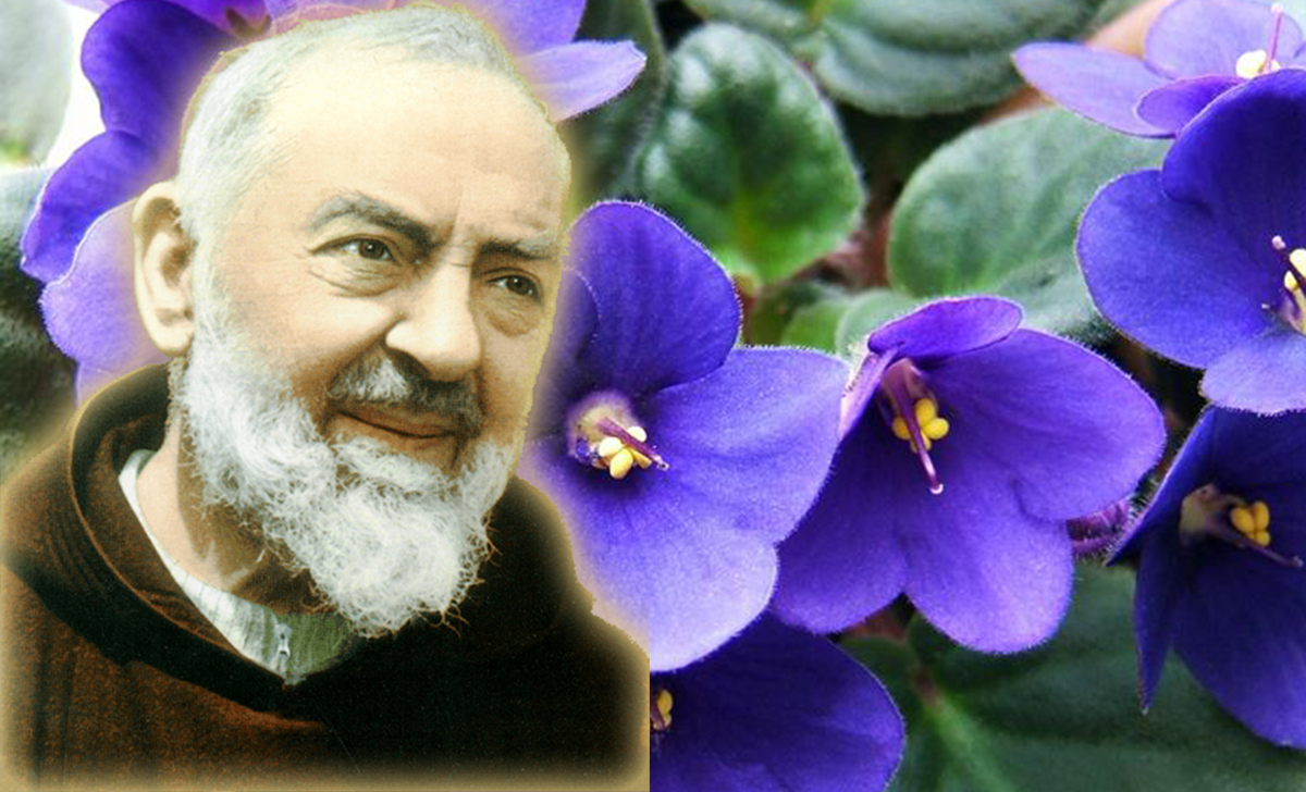 La rubrica dedicata a Padre Pio, 5 Settembre 2020